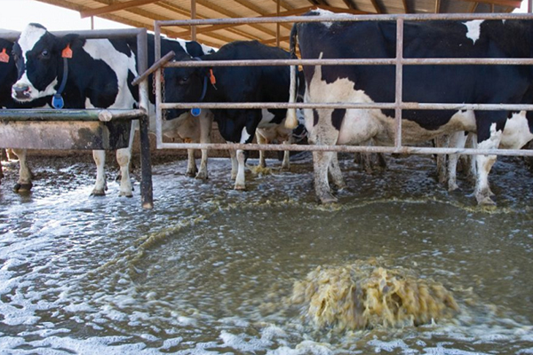 Tratamiento de Aguas Residuales en Ganadería